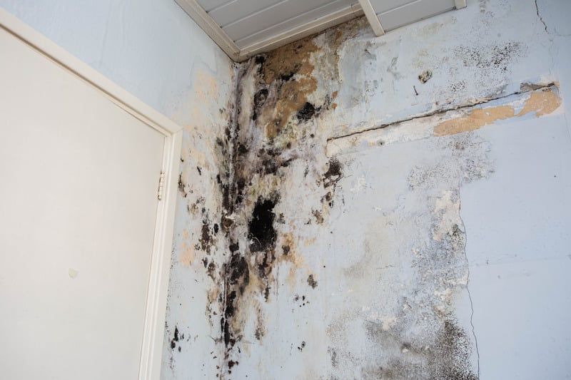 Mold-infested corner of a room with visible water damage on the walls, near a white door and ceiling.