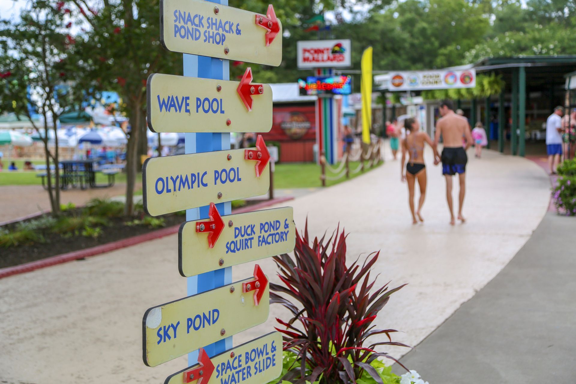 Soaking Up Summer at Point Mallard Water Park!