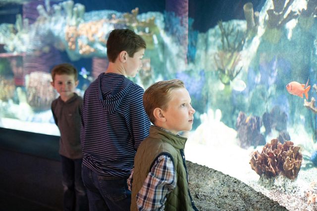 Play in MoCo - Decatur Morgan County Tourism