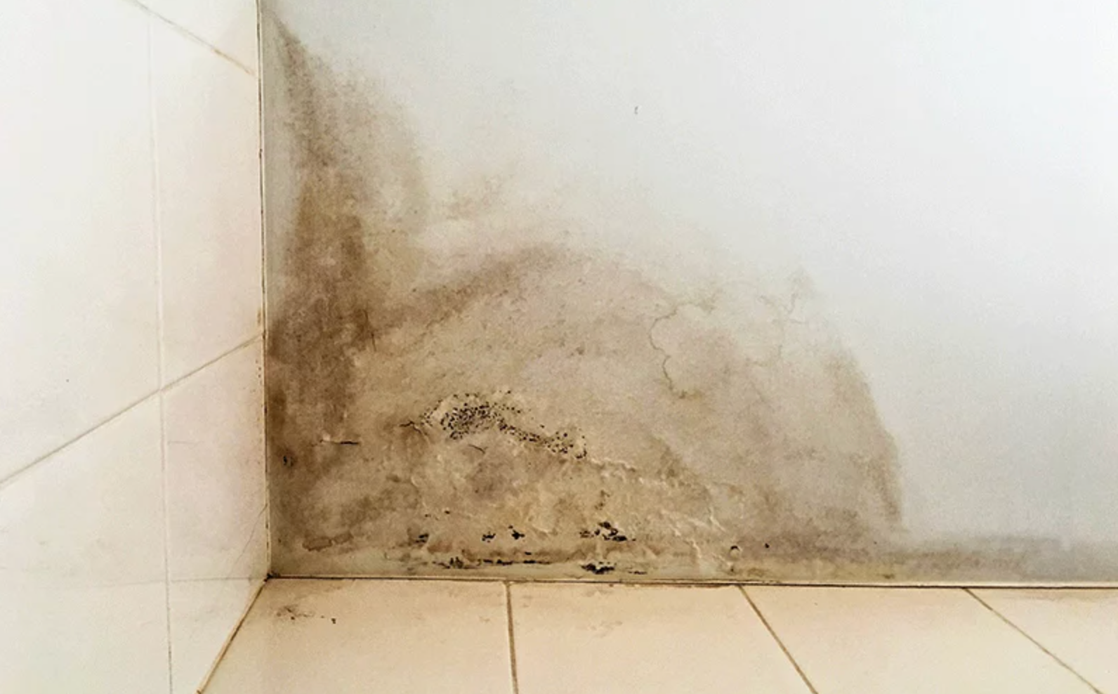 Mur avec peinture écaillée causée par dégât d’eau, réparé par Propeintre