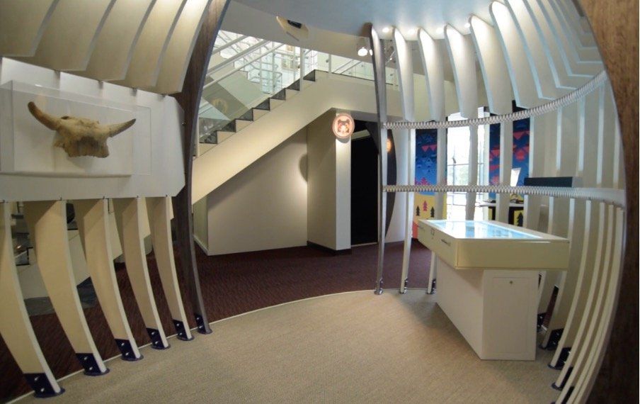 A room with stairs and a table with a skull on the wall