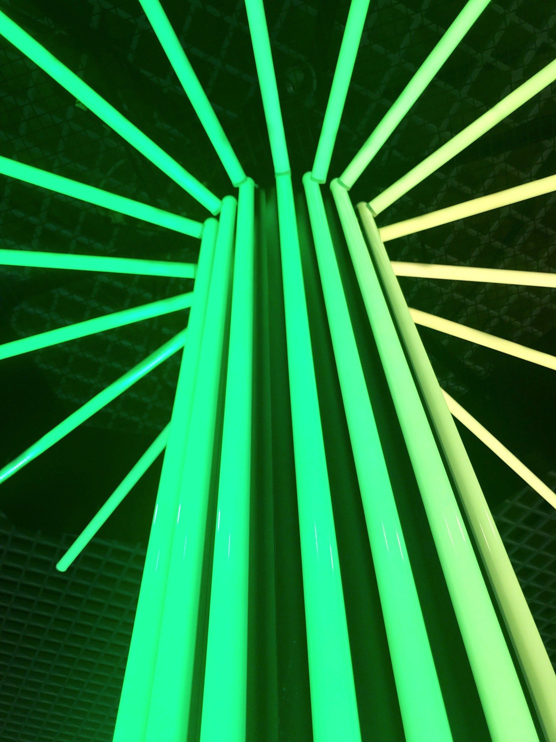 A bunch of green lights are lined up in a circle