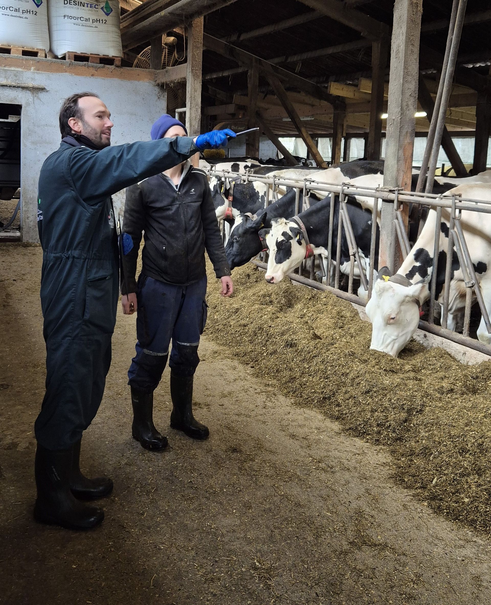 Zwei Männer in einer Scheune mit Kühen, einer zeigt mit dem Finger; die Kühe fressen.