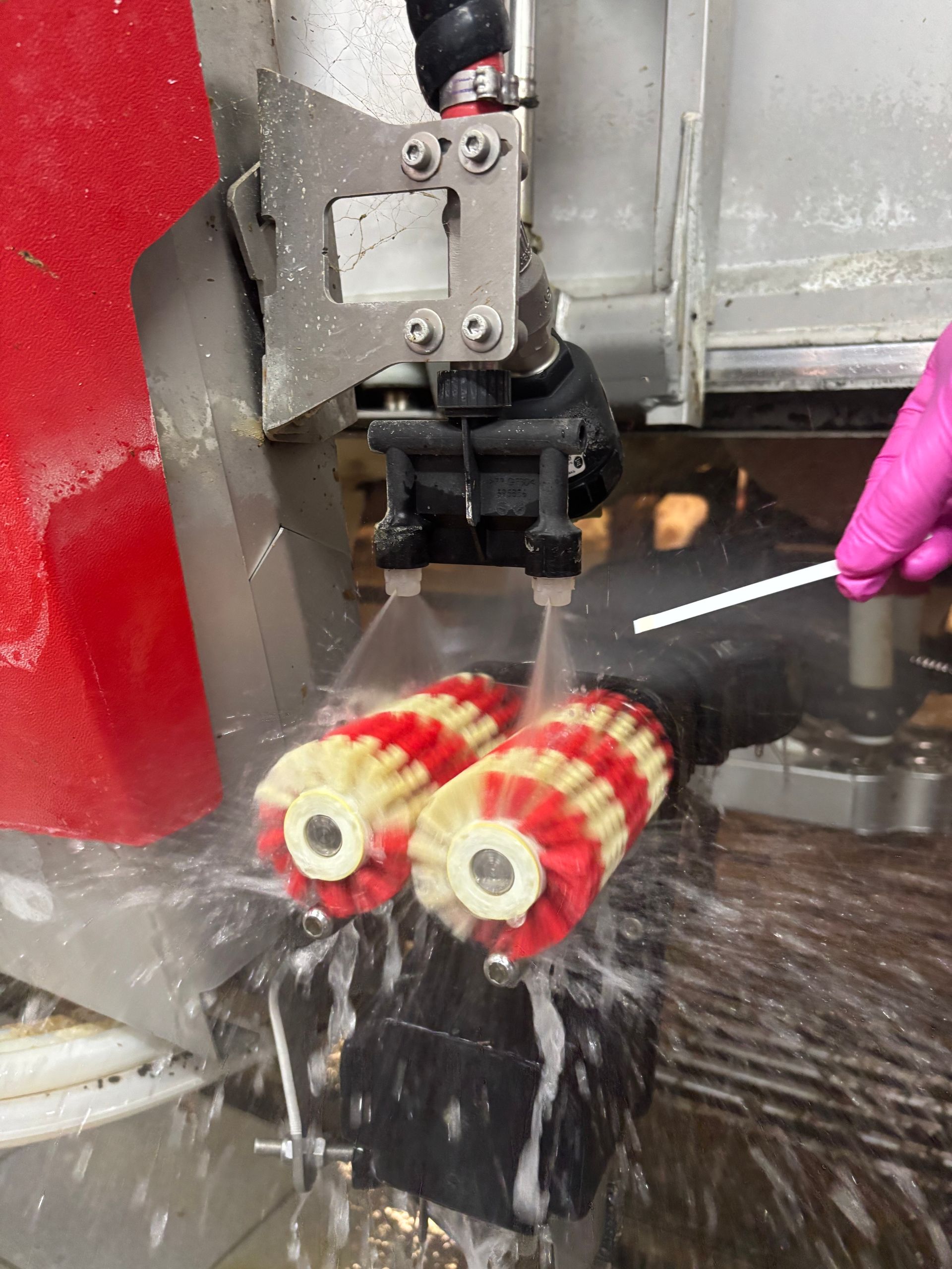 Rote und weiße Rotationsbürsten versprühen Wasser; dies ist Teil eines industriellen Reinigungsprozesses. Eine behandschuhte Hand ist zu sehen.