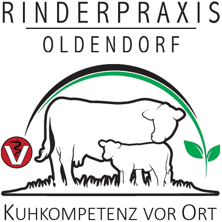Logo: Kuh und Kalb, grüner Bogen, rotes Tierarztsymbol, Text „Rinderpraxis Oldendorf“.