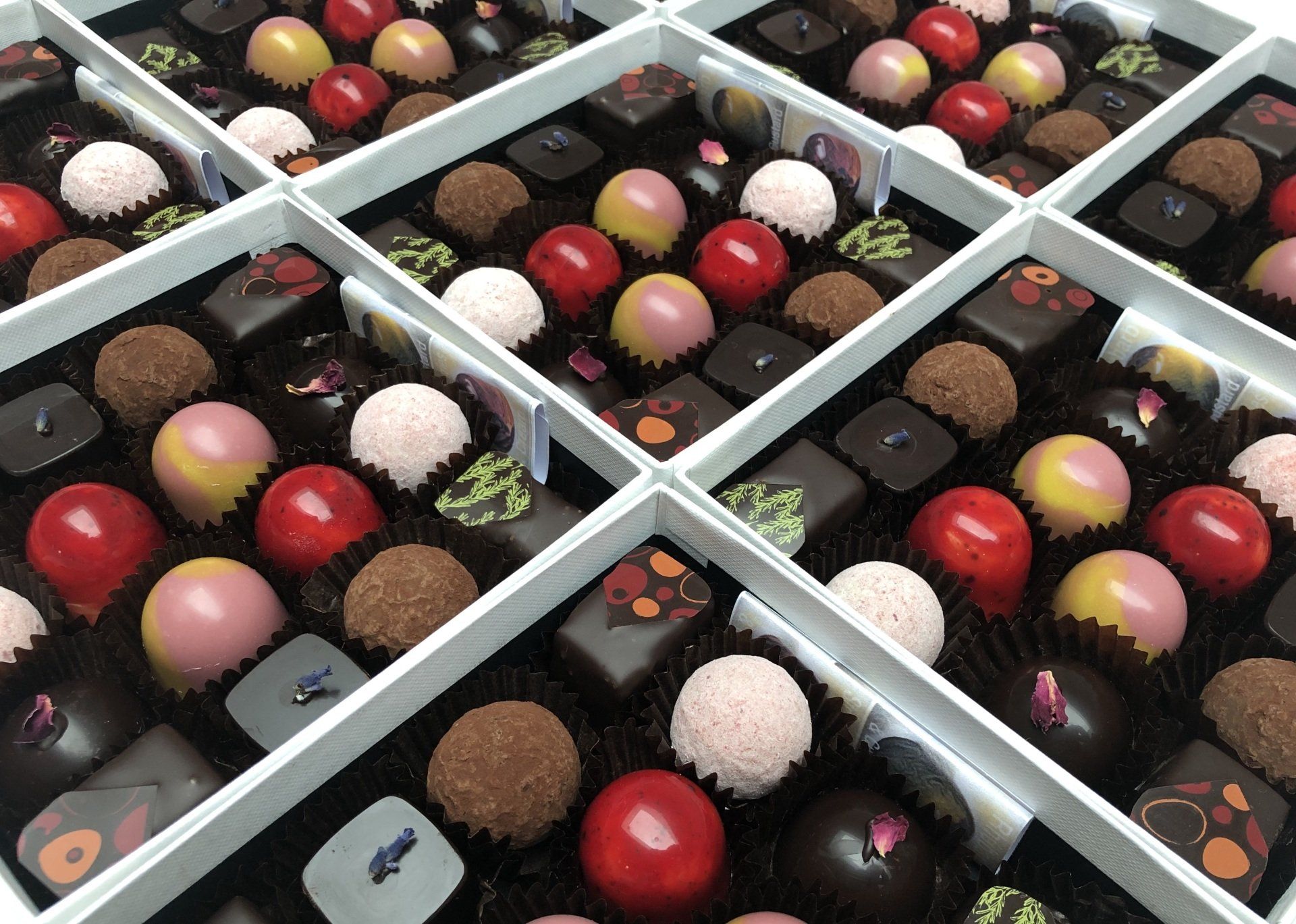 closeup of hand made Linny Lane chocolates