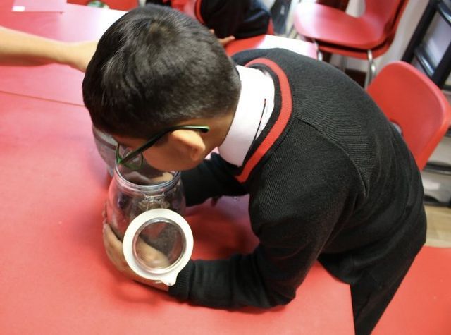 boy smelling chocolate