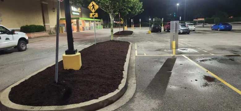 Night shot of a parking lot with a bed of mulch, a utility truck, and parked cars near a store.