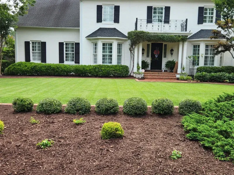 White house with black shutters, green lawn, shrubbery, and brown mulch in the front yard.