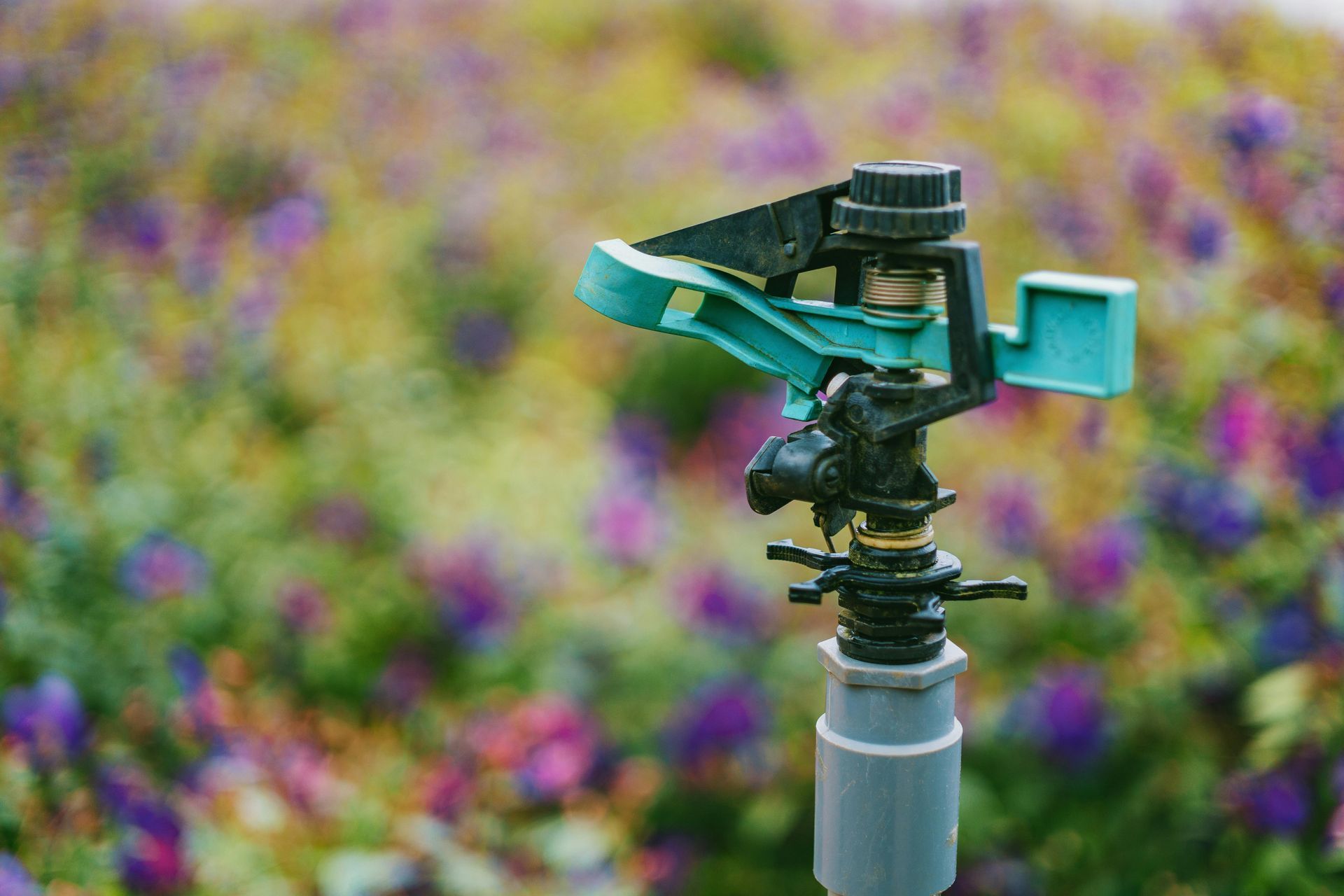 Green and black sprinkler head in front of a blurred background of purple and green flowers.