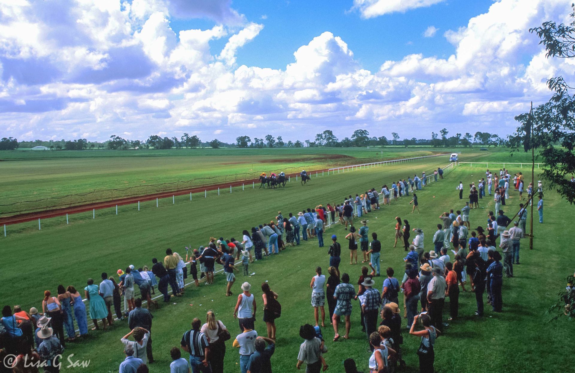 Australia Day Races, Tolga Park
