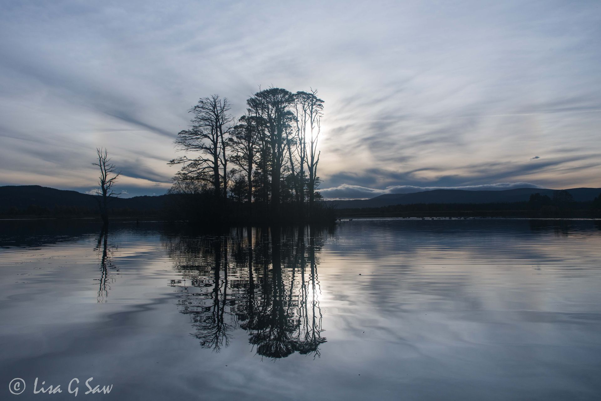 Trees reflecting in Loch at dusk