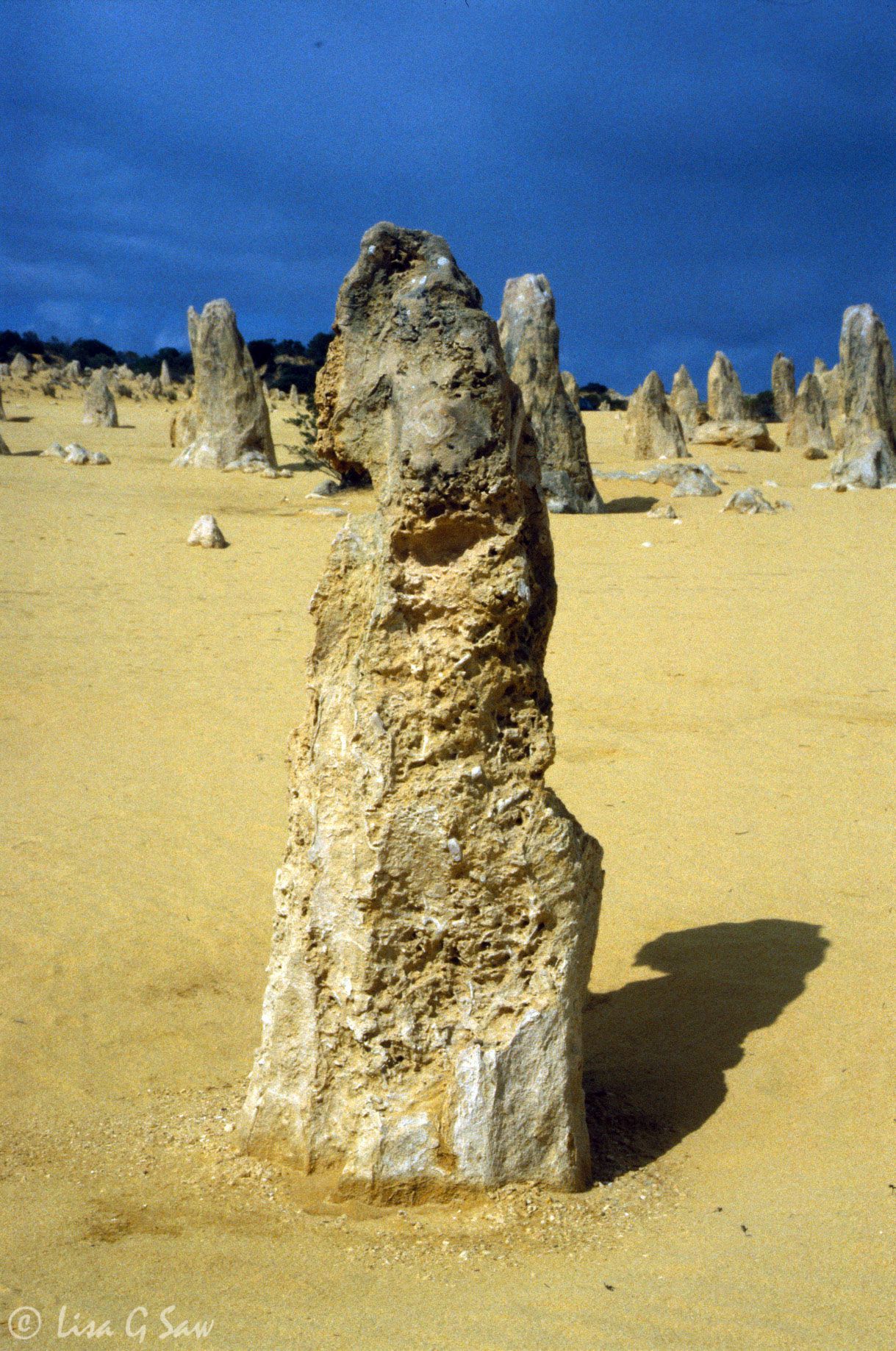 The Pinnacles, Nambung National Park, Western Australia