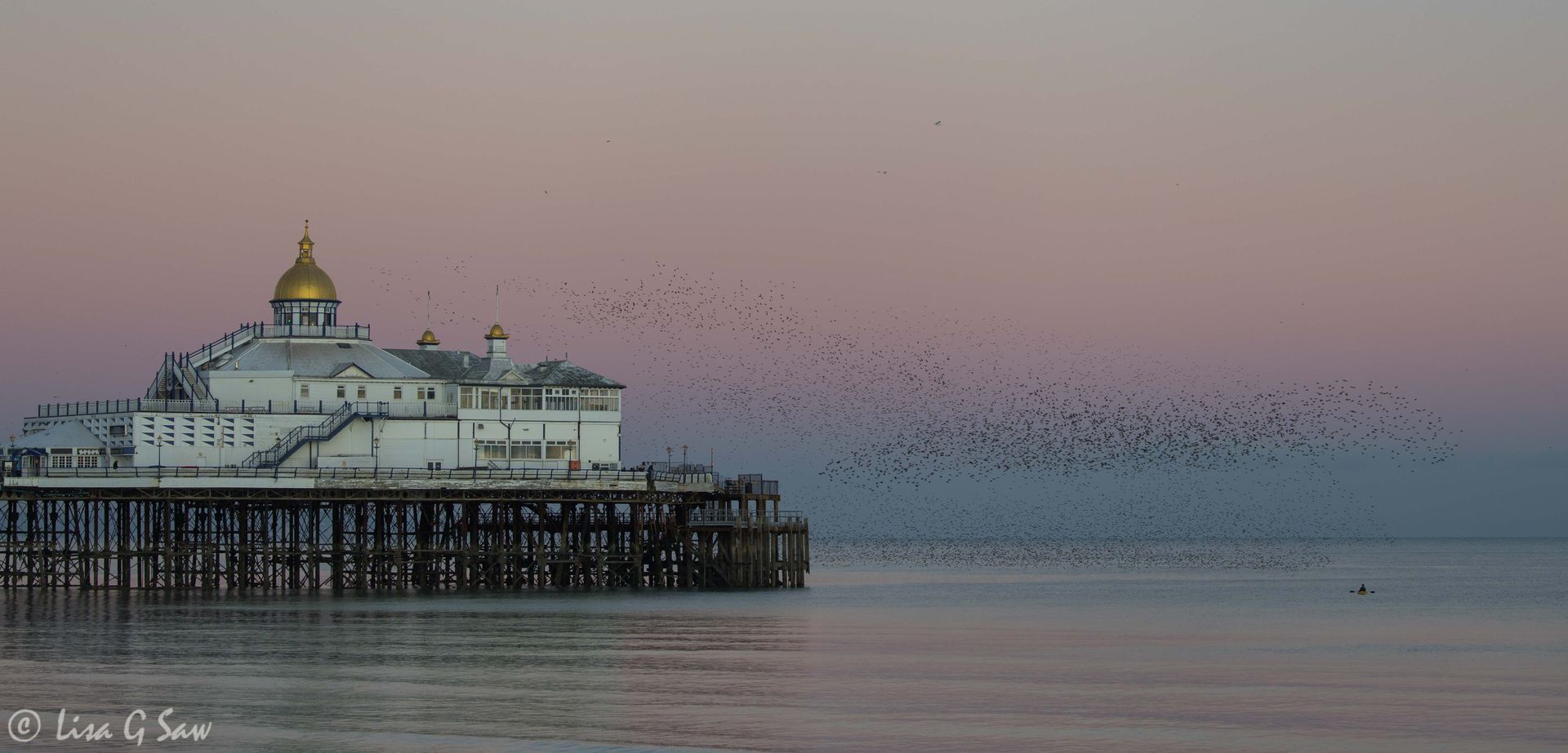 Starling Murmuration over Eastbourne Pier