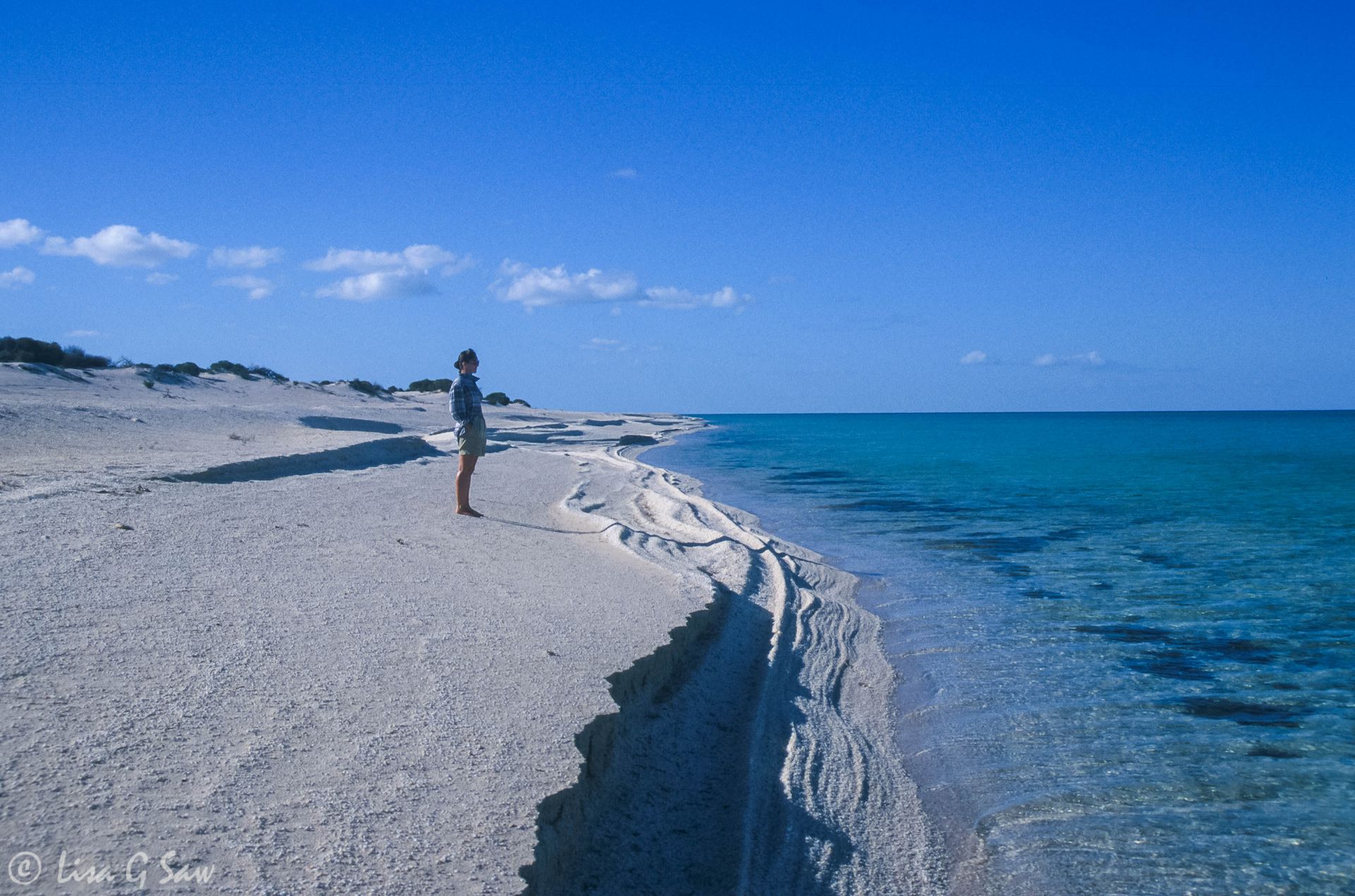 Shell Beach, Shark Bay World Heritage Area, Western Australia