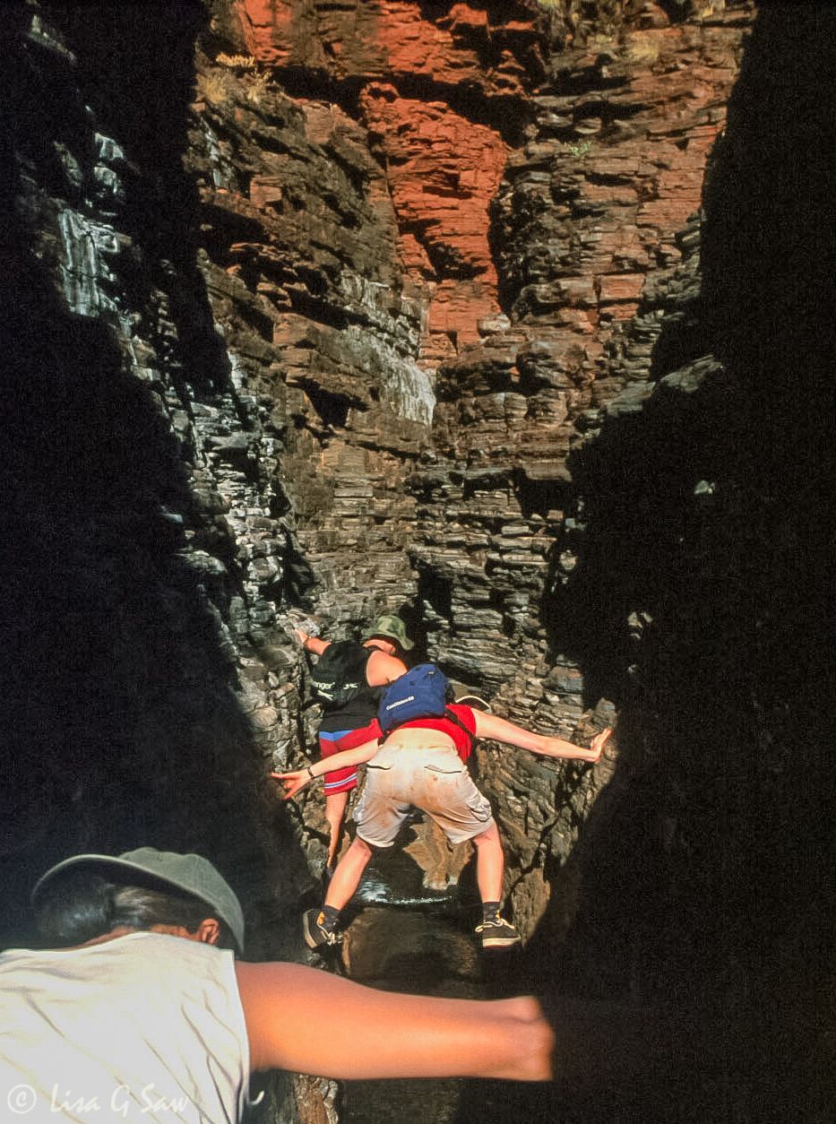 Spider walking through Weano Gorge, Karijini National Park