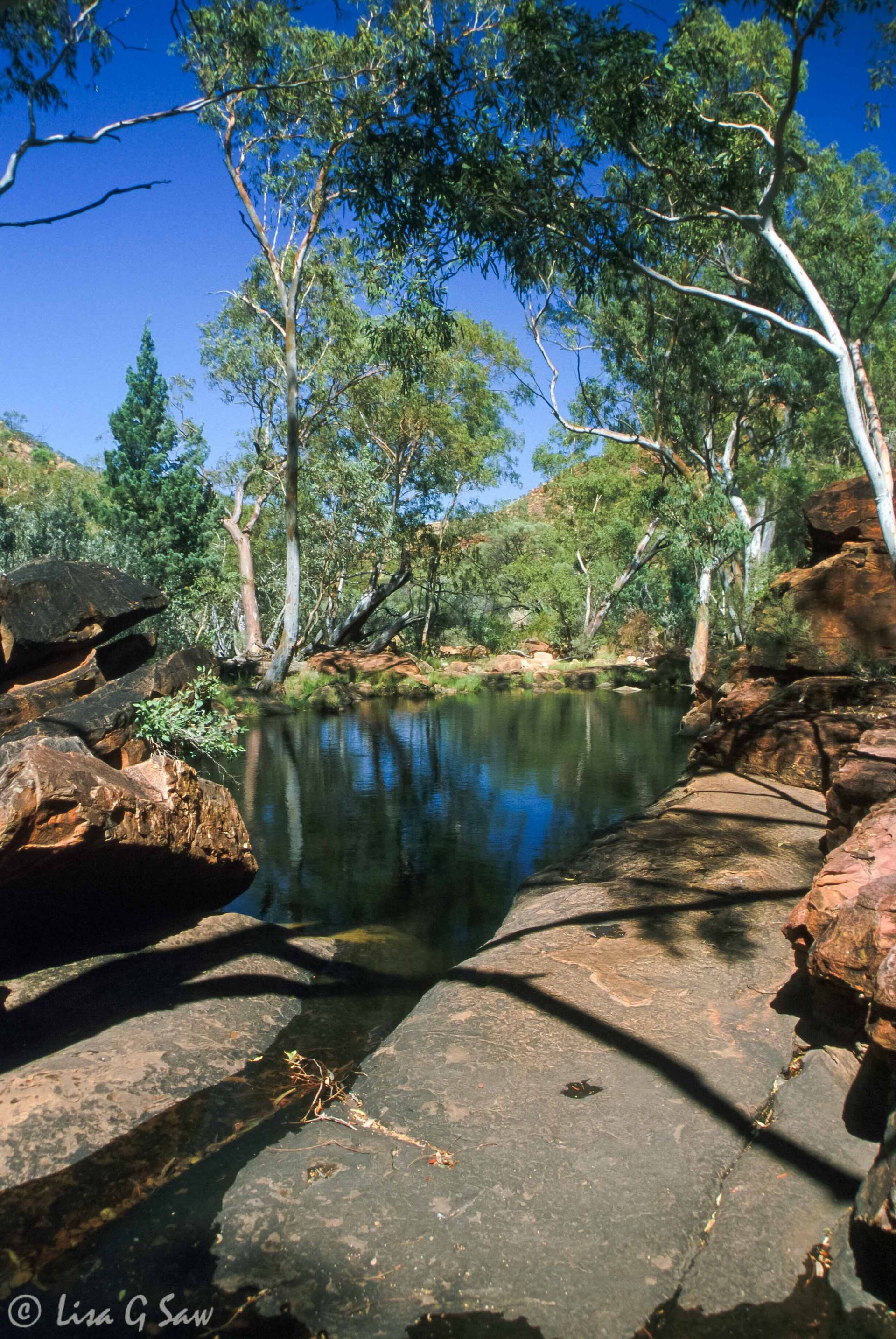 Pond at base of King's Canyon, Watarrka National Park