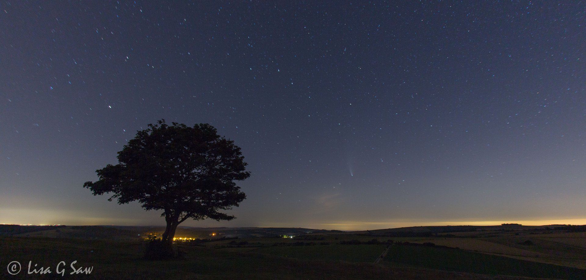 The lone tree at Cissbury with Neowise Comet in night sky
