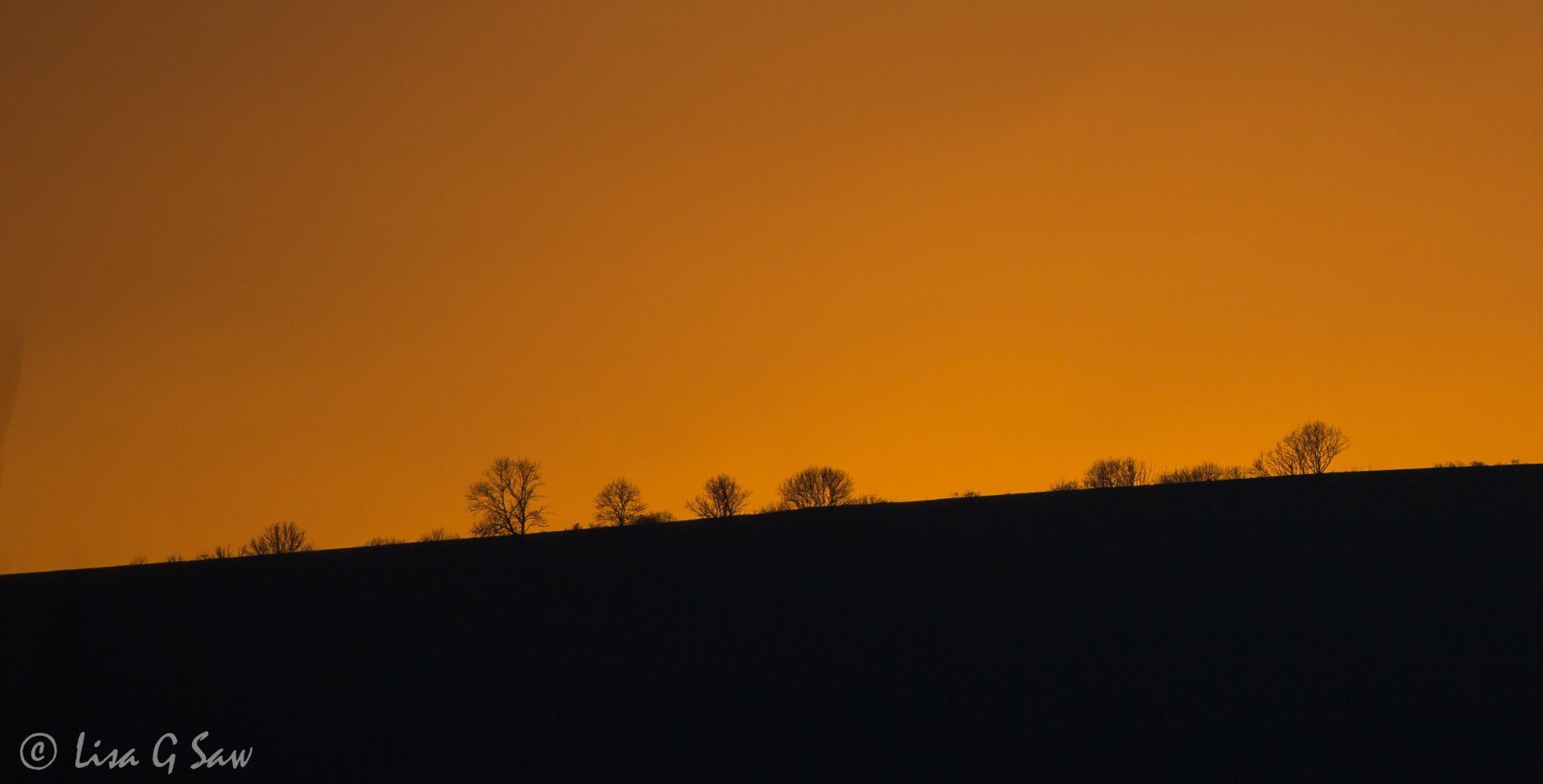 Silhouette of bare trees on hill in autumn against orange glow of sunset