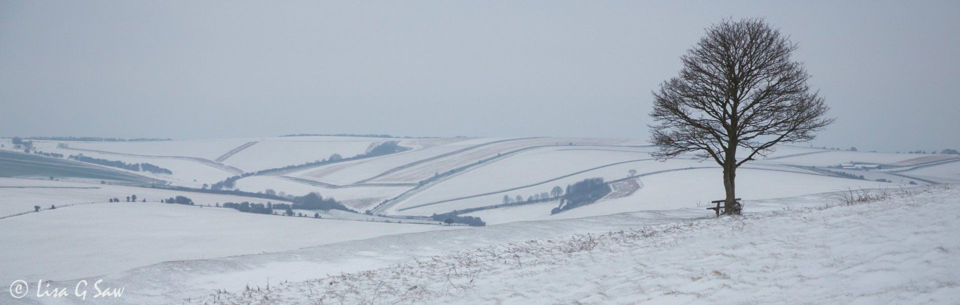 Lone tree, bench and fields covered in snow, Cissbury Ring