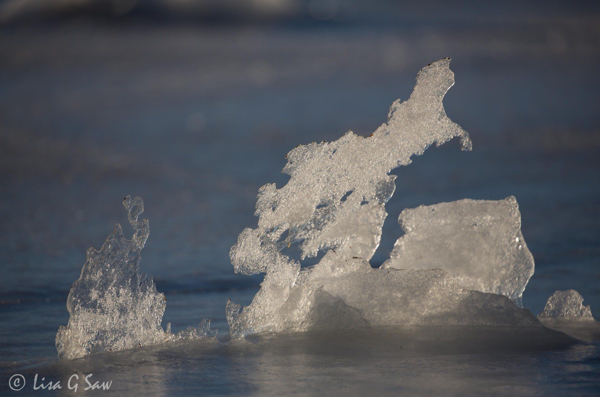 Thin ice natural sculpture