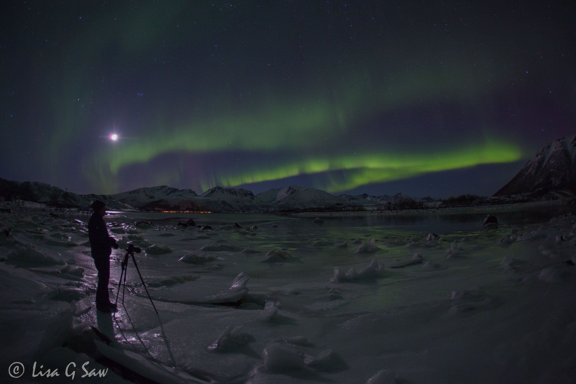 Photographer and tripod with bands of Northern Lights and moon, Norway