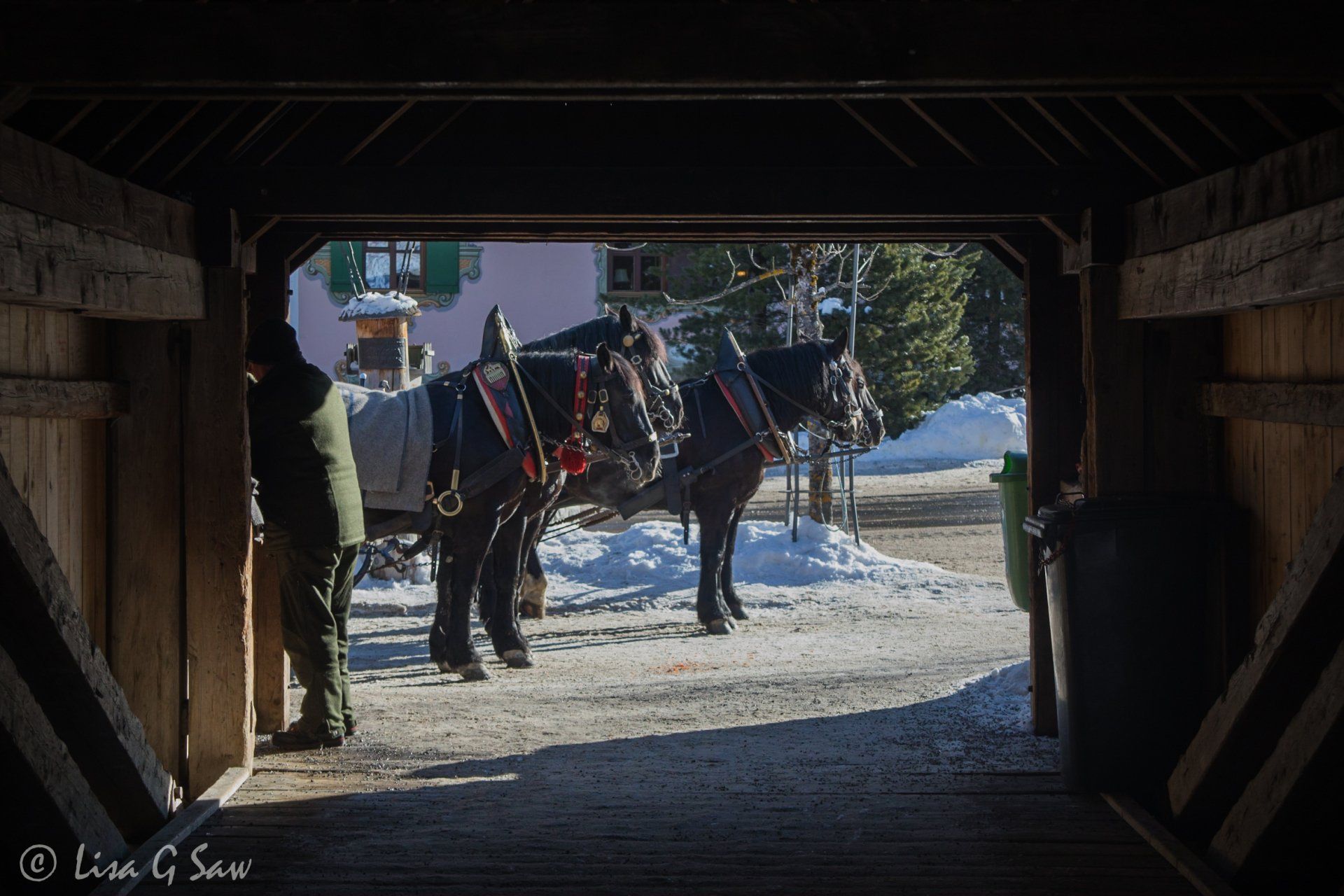 Horses at other end of covered bridge in Lech