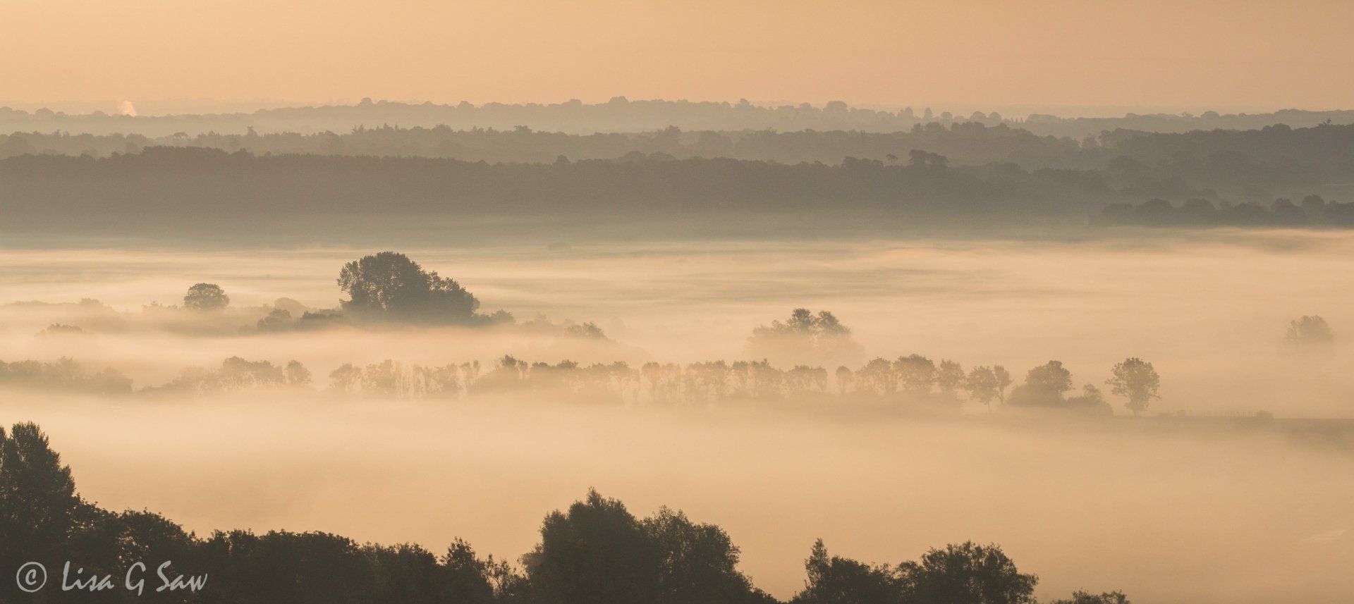 Morning mist over Amberley wildbrooks