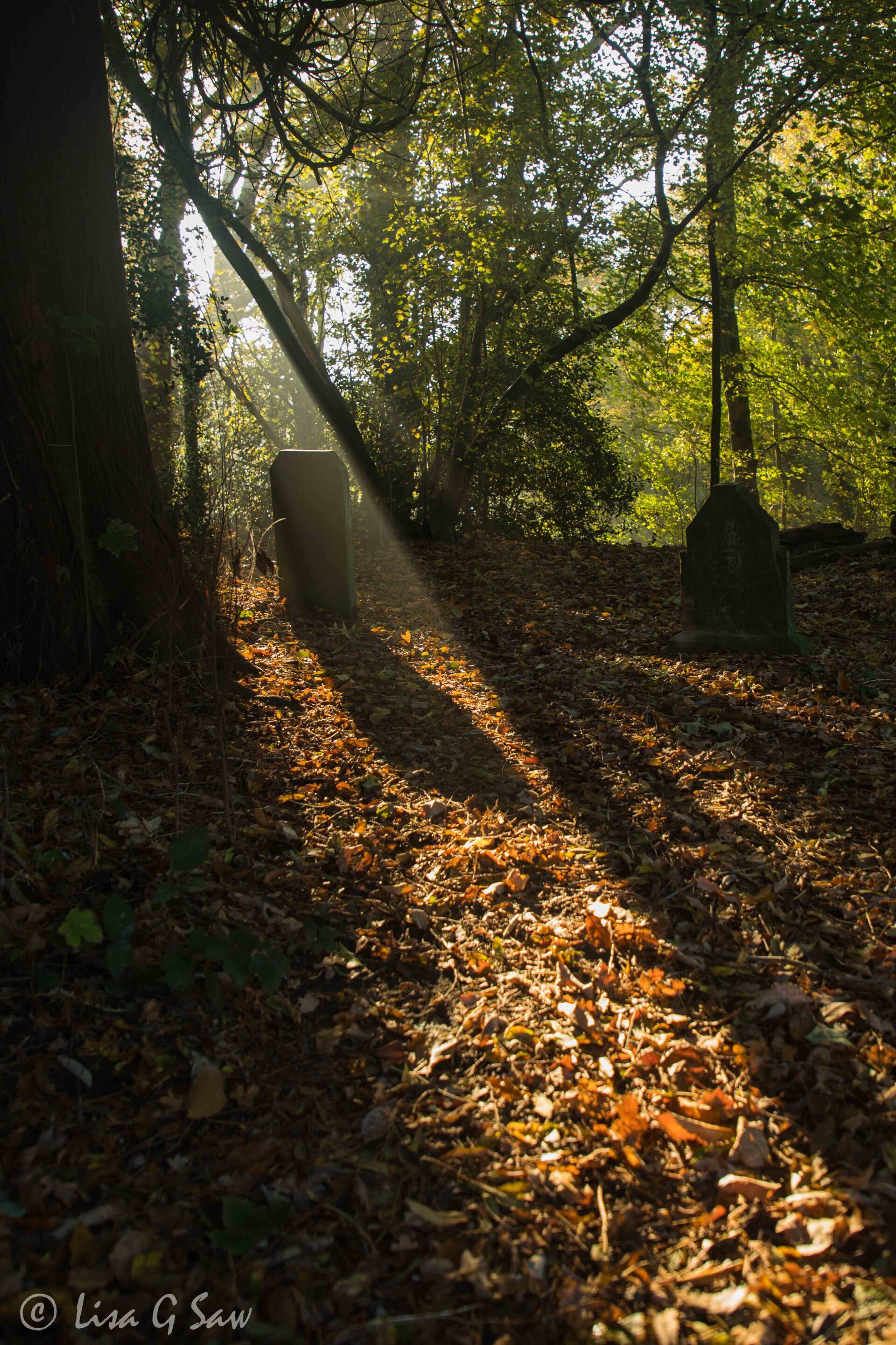 Gravestone silhouetted in late afternoon light in autumn