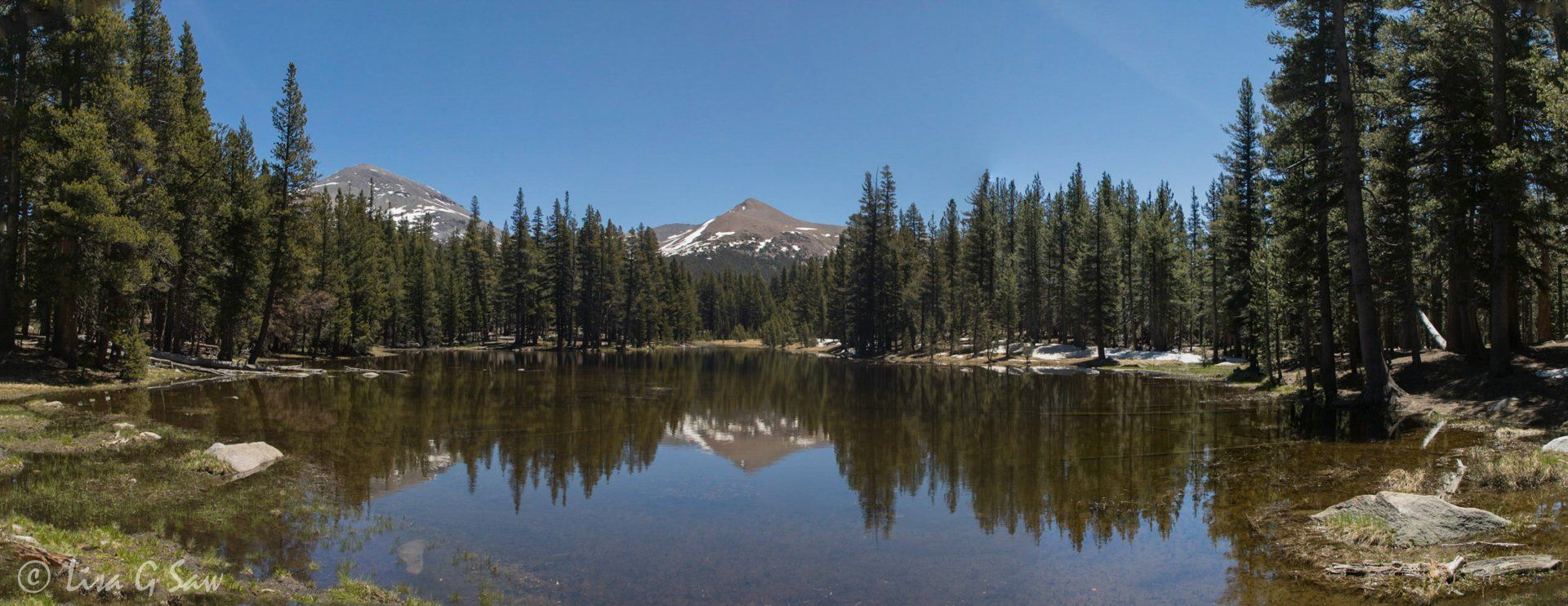 Reflections of mountain and pine trees in lake