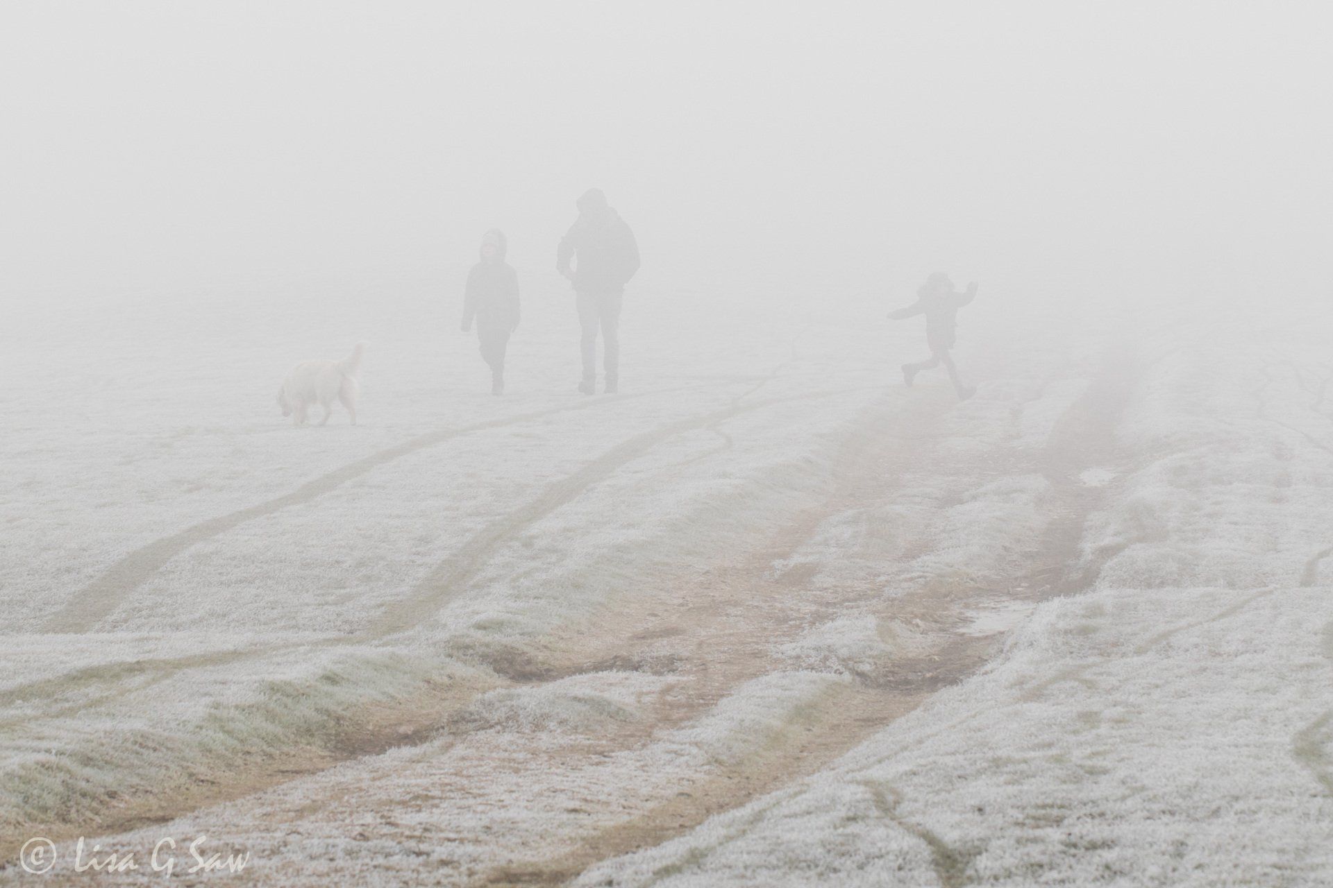 Family and dog walking, child leaping, in mist on frosty morning