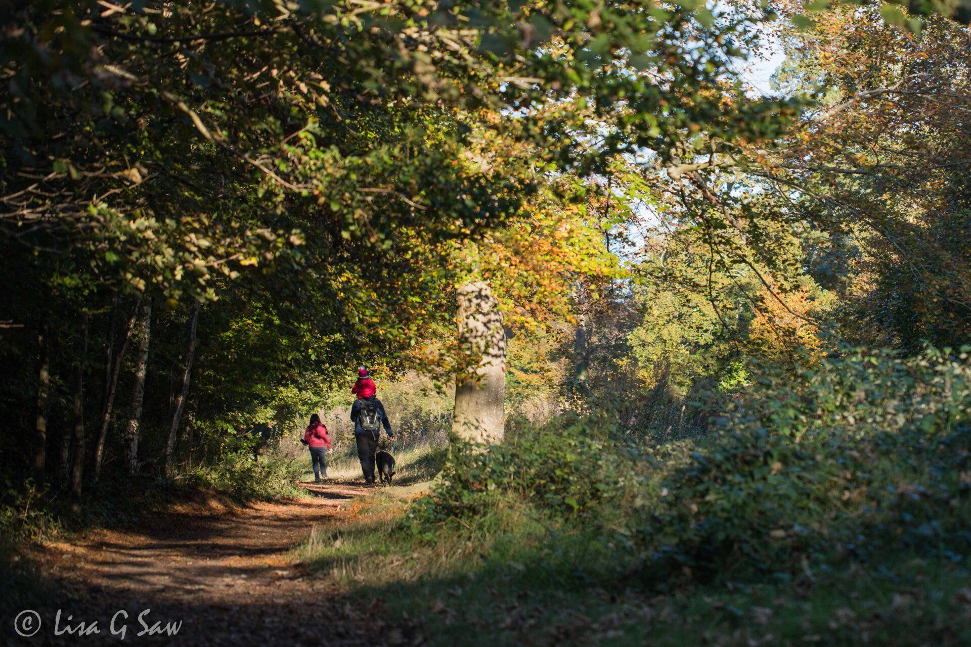 Family walking down along woodland path in autumn