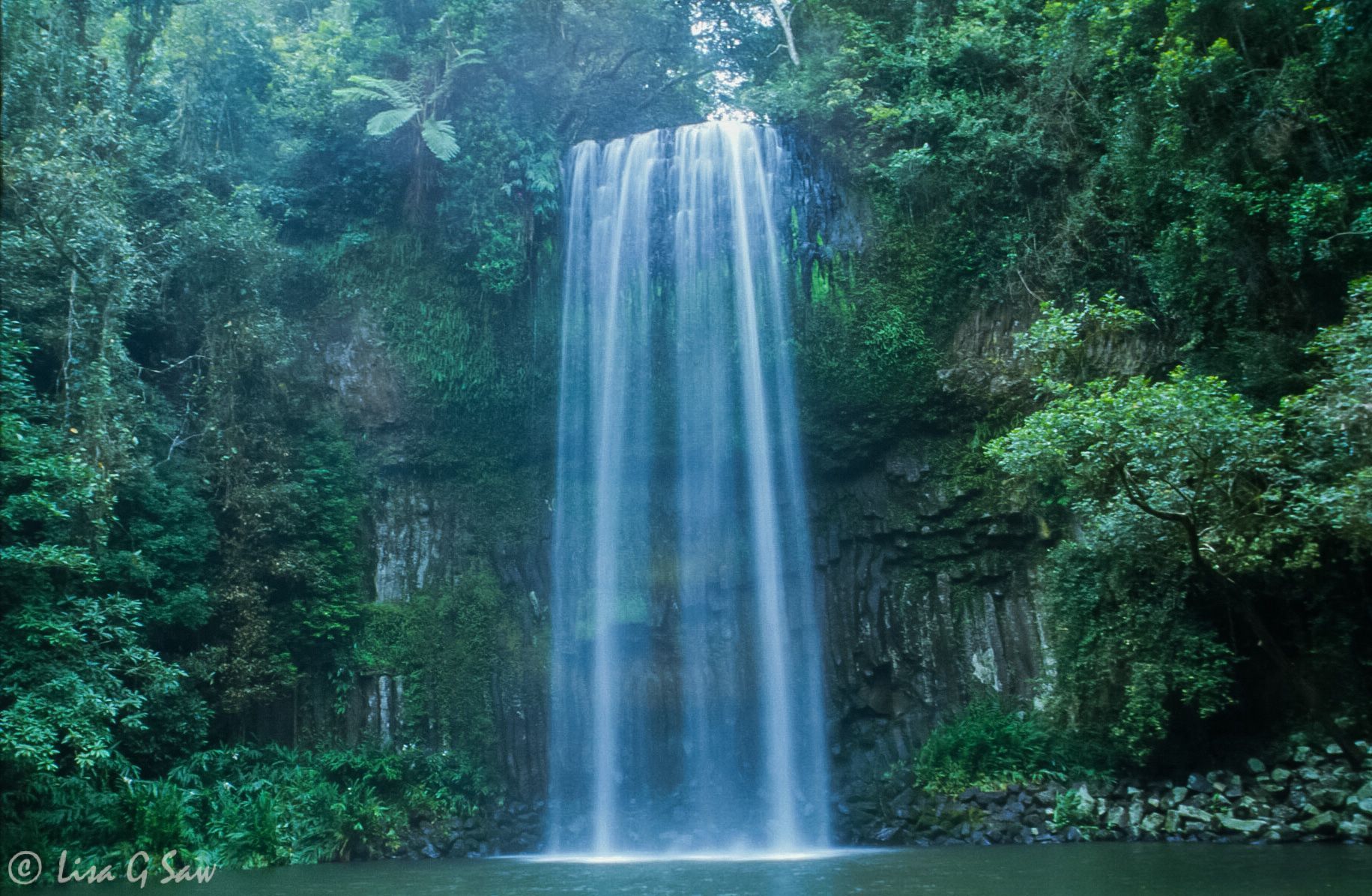 Millaa Millaa Falls, Atherton Tablelands
