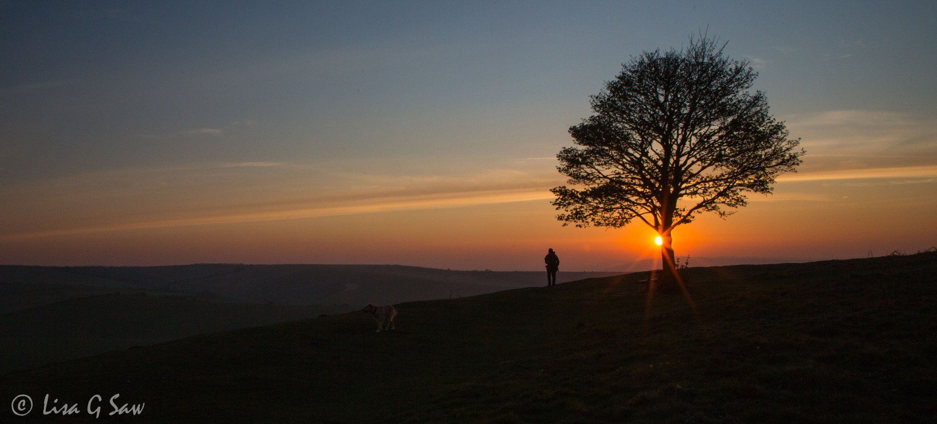 Man walking dog on Cissbury Ring by lone tree