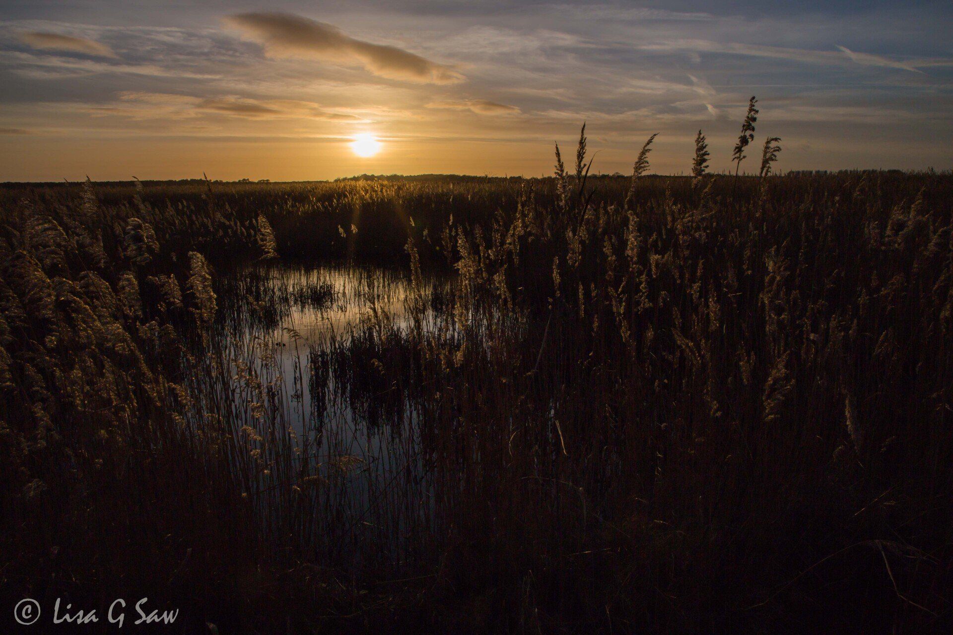 Sunset over the reeds, RSPB Minsmere