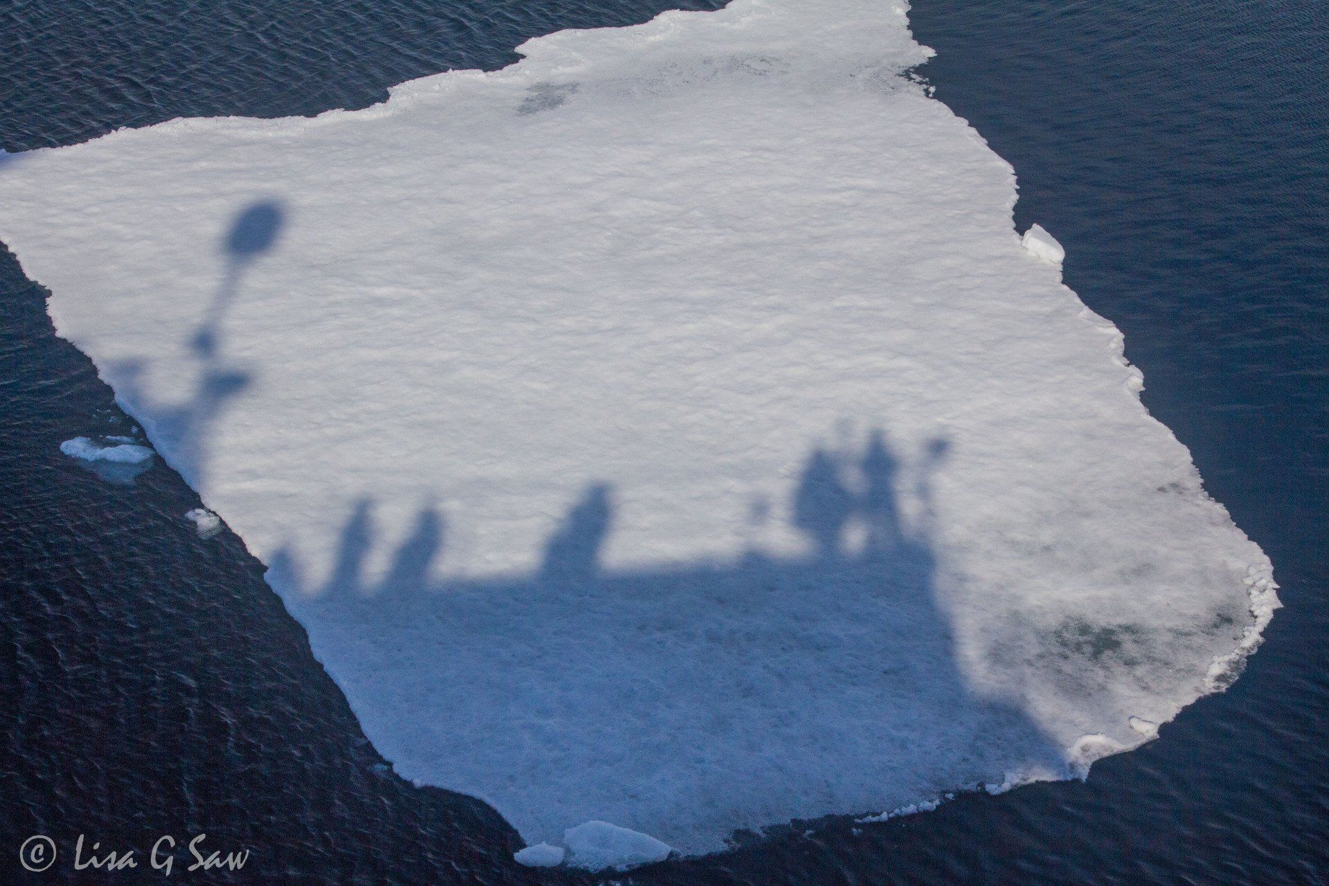 Shadow of ship and people in the Arctic sea ice