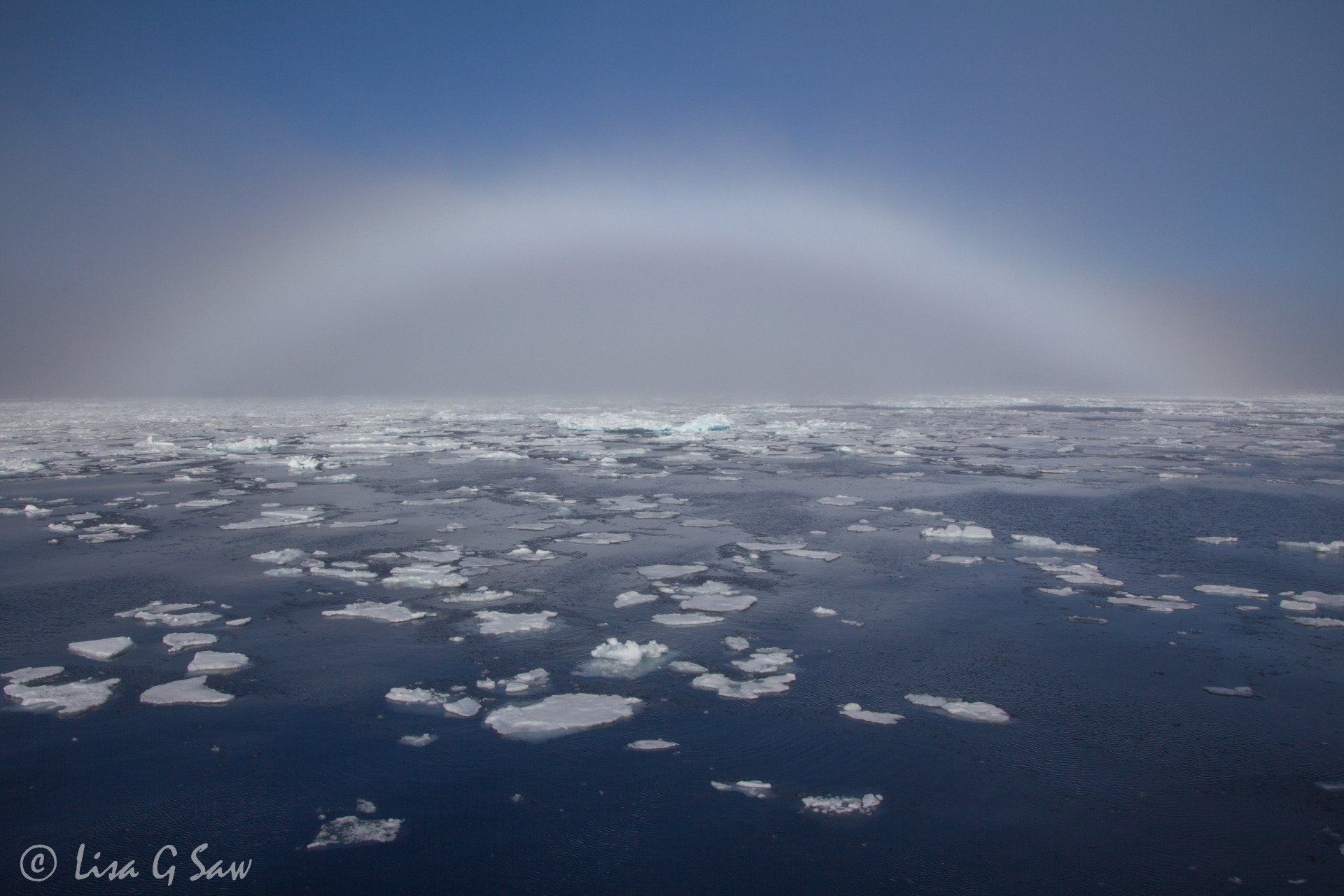 Fog bow over Arctic sea ice