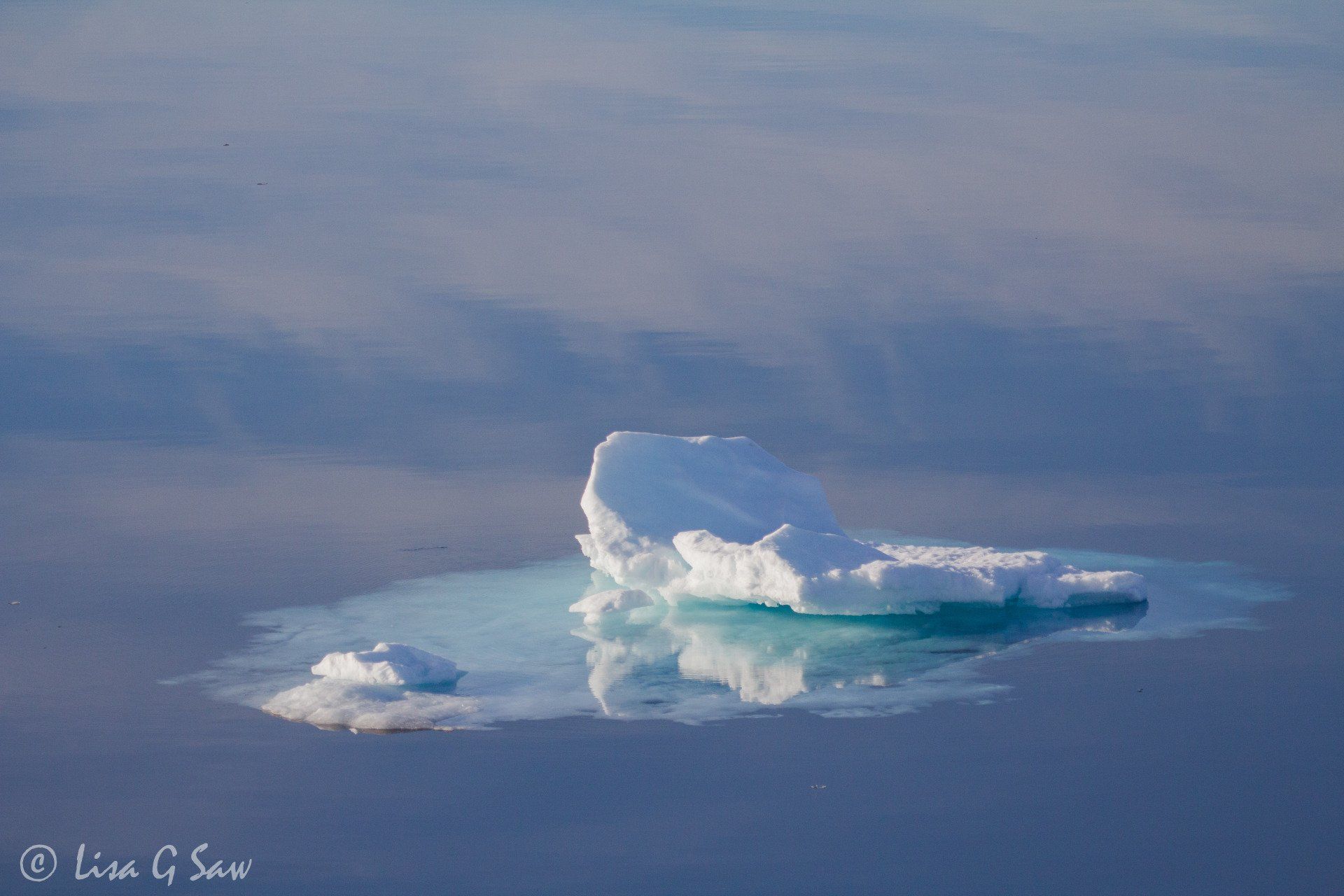 Small chunk of Arctic sea ice on calm water