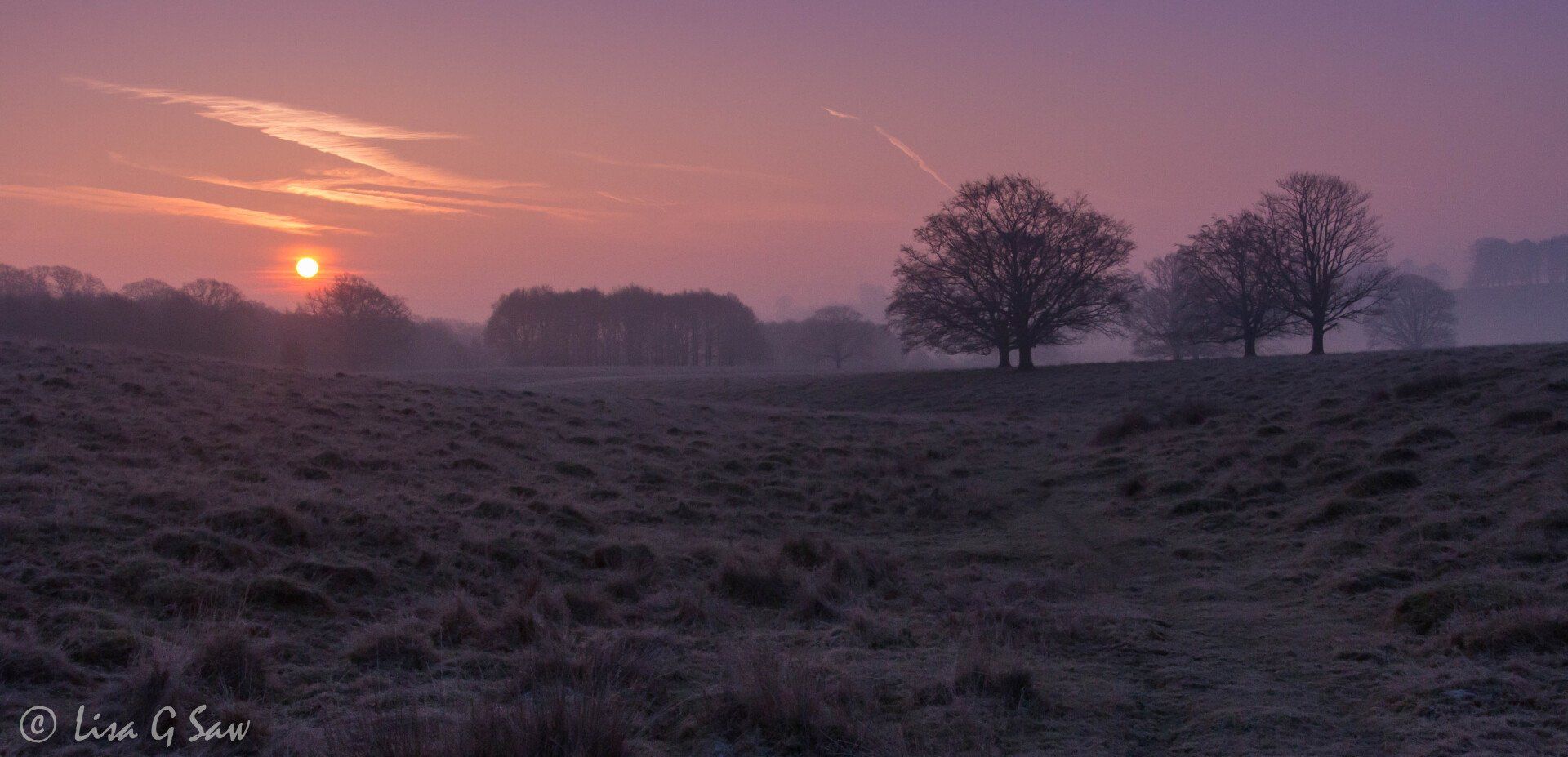 Sunrise frosty morning, Petworth Park