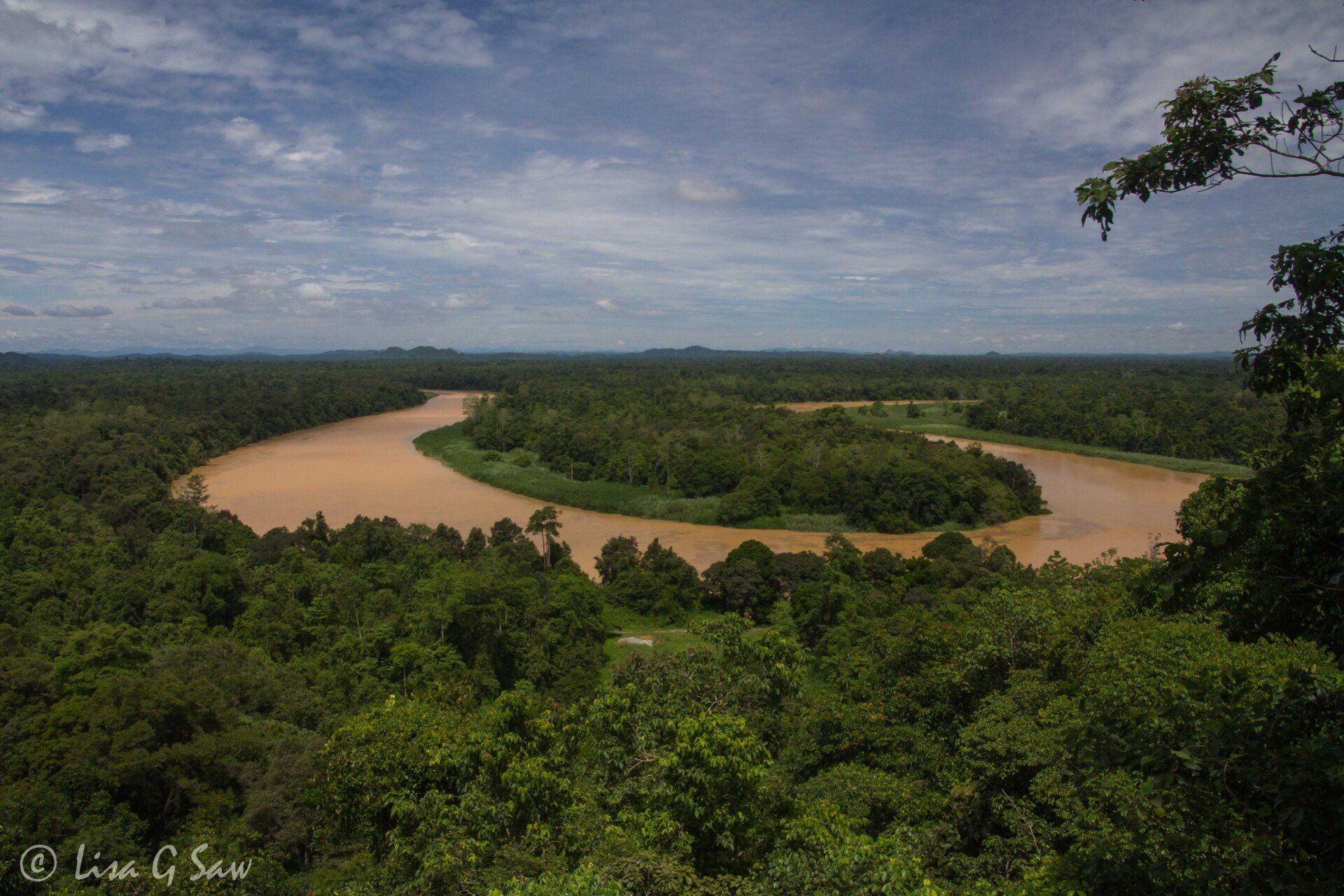 Kinabatangan River and forest