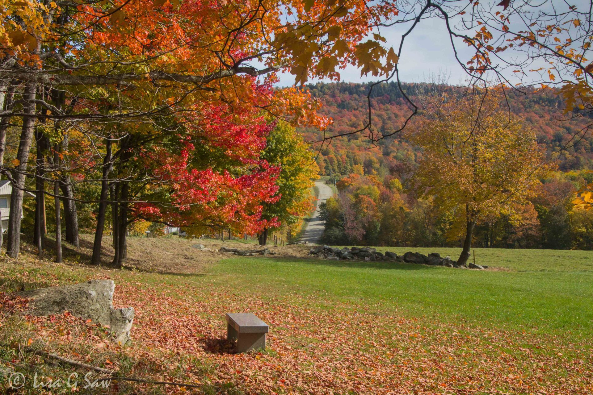 Stone bench and autumn colours in Vermont