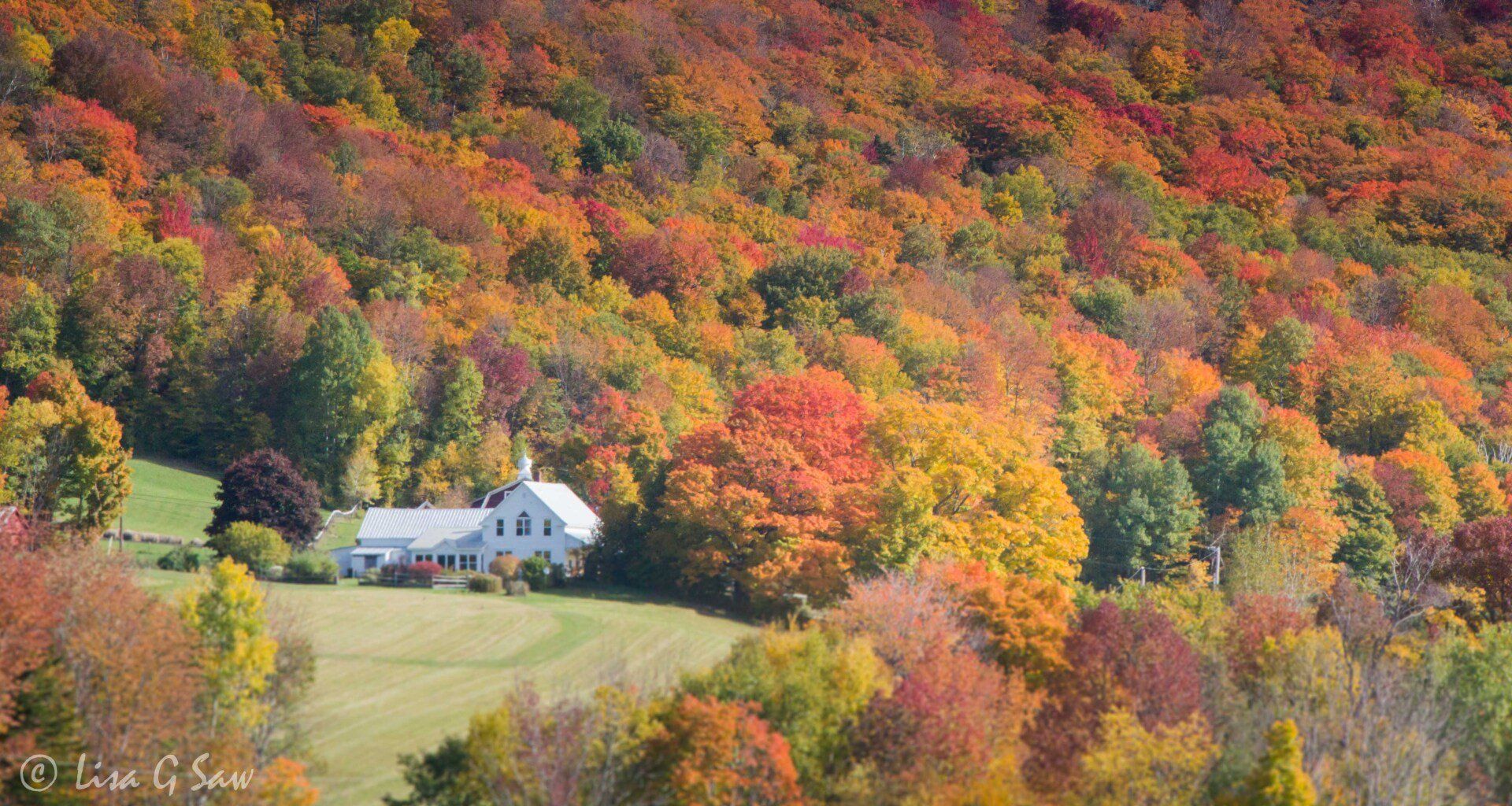 White house nestled amidst the autumn trees in Vermont