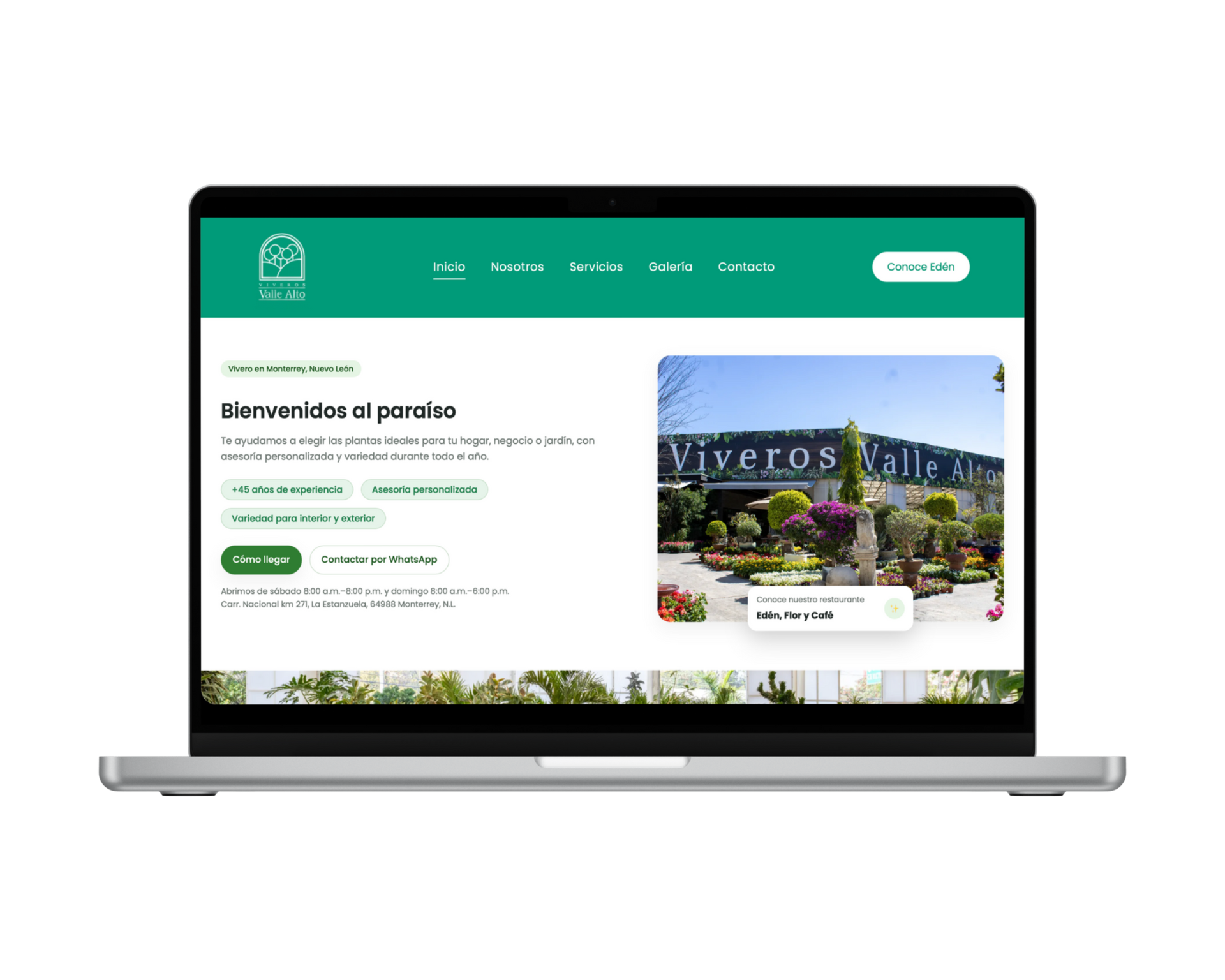 Proyecto de diseño web para Viveros Valle Alto