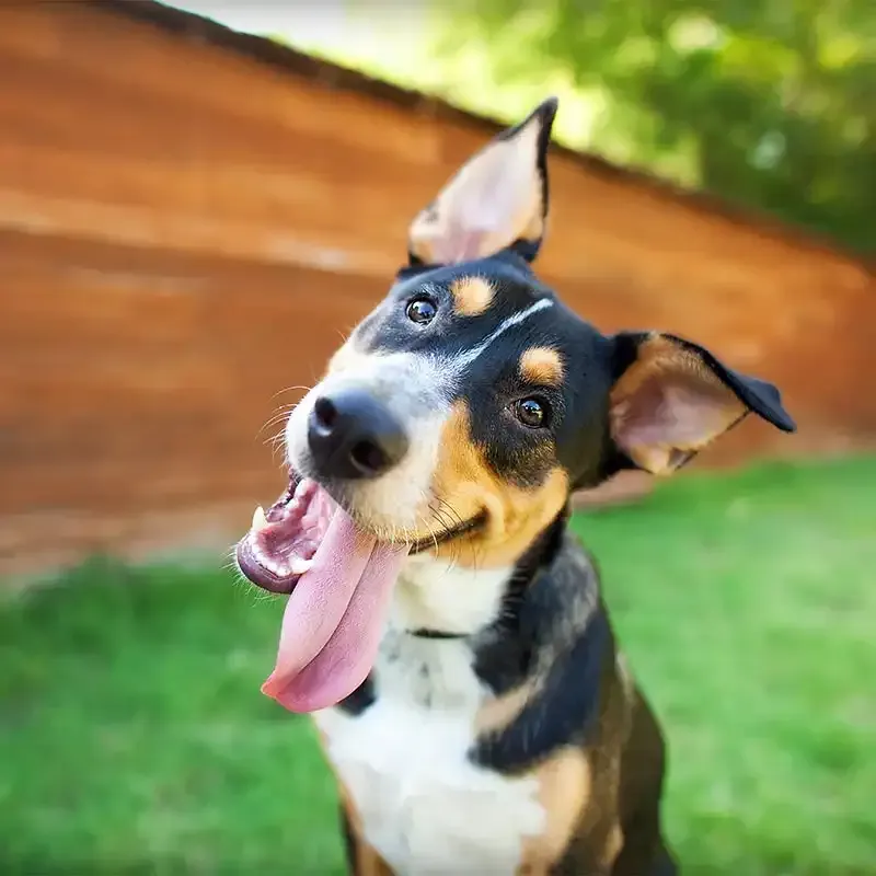 A staff member hard at work