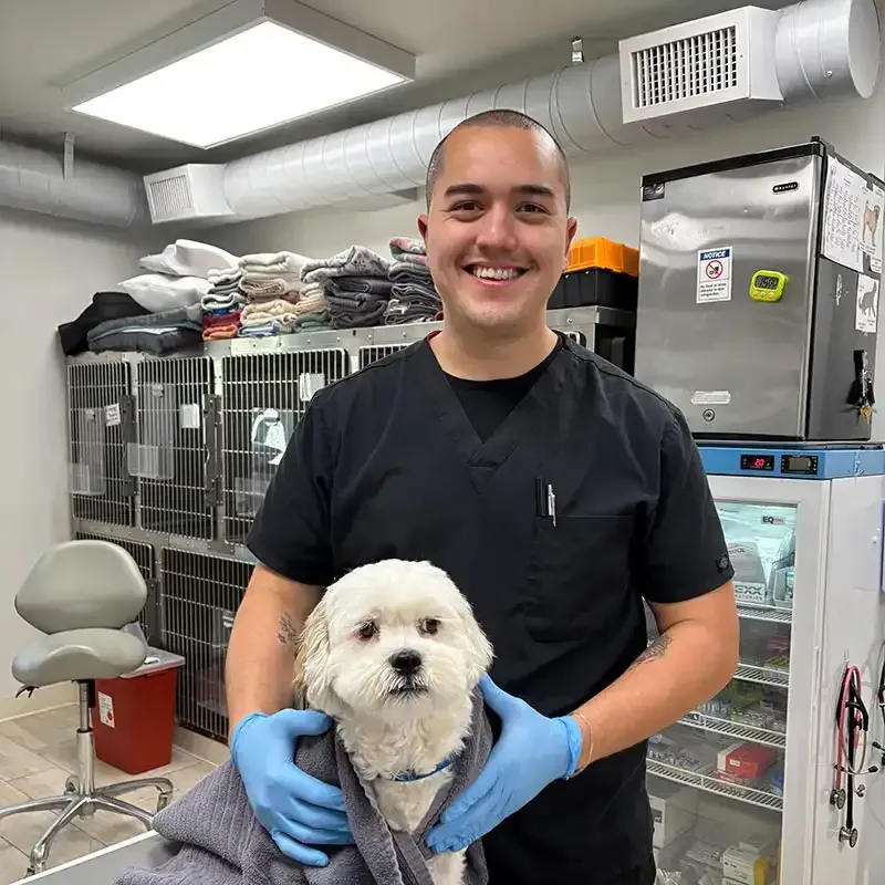 A staff member with a canine client