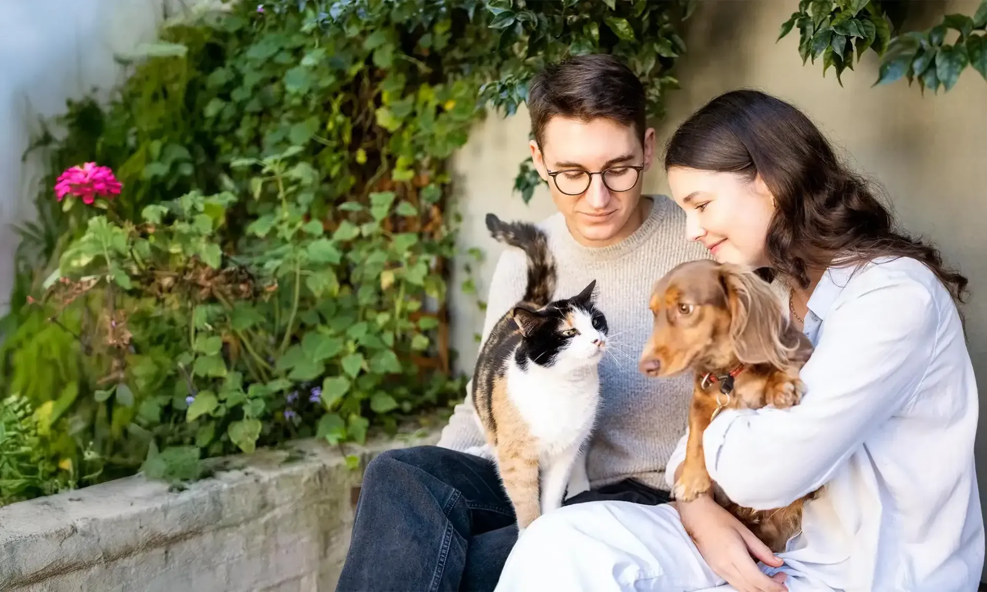 Routine Wellness Exams