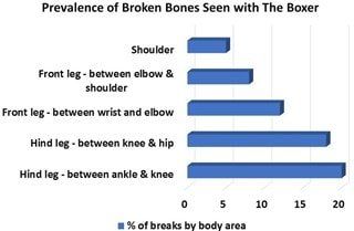 Chart-Prevalence-Broken-Bones-Boxer-Breed