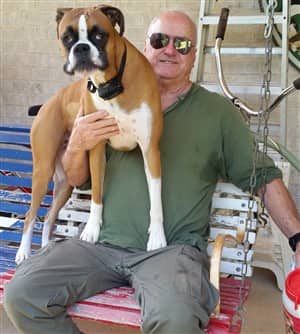 Boxer-dog-that-survived-poisoning