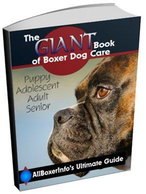 Boxer dog care book