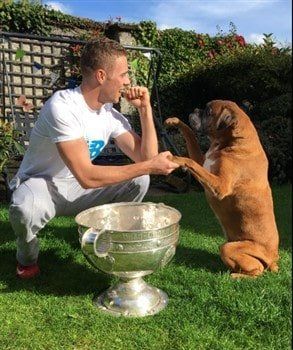 senior Boxer dog with Dublin soccer champ
